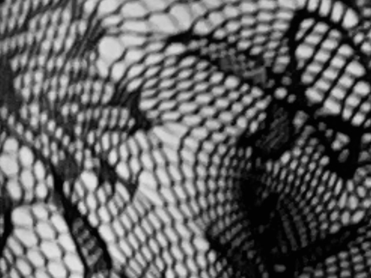 Black and white photo of fishnets