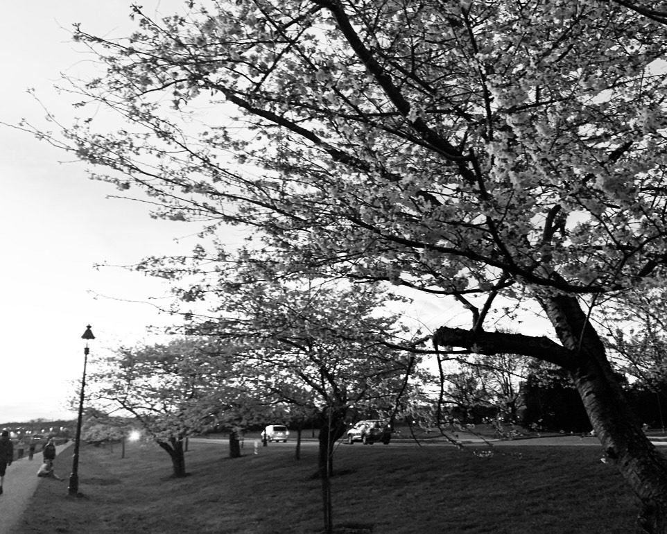 A picture from where some of the first edits were made to Sirens in Athens, Ohio.