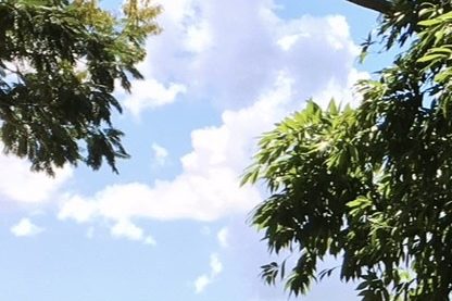 Floridian skies that inspired Wisteria Drive