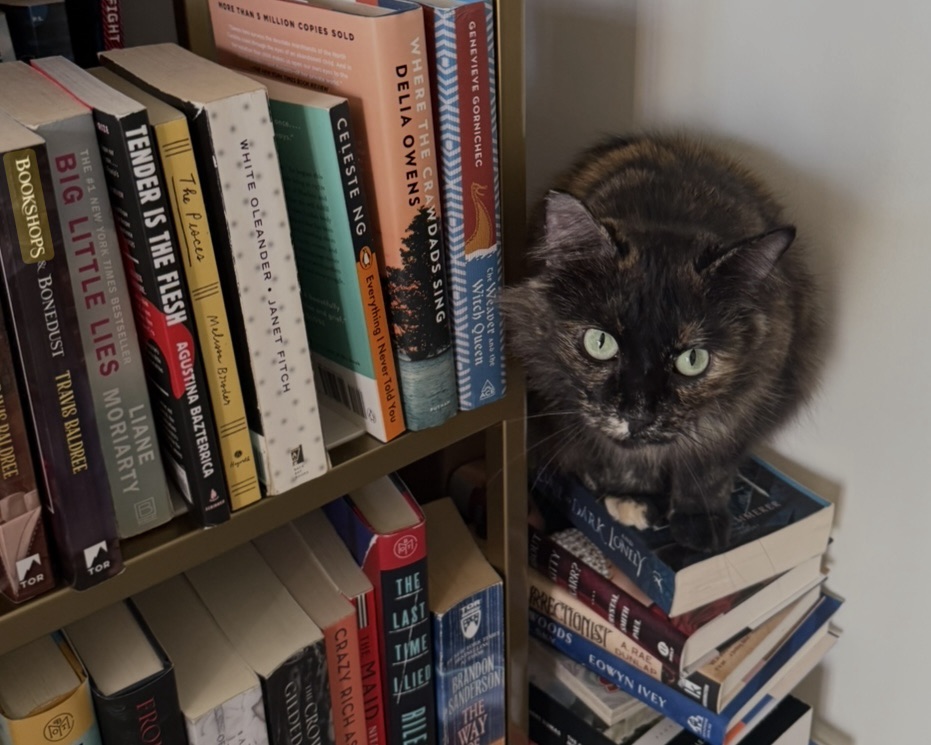 Karma among Chloe Ruffennach's books